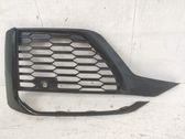 Front fog light trim/grill