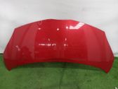 Motorhaube