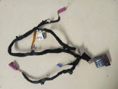 Front door wiring loom