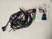 Front door wiring loom