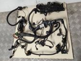 Engine installation wiring loom