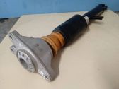 Rear shock absorber/damper