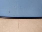 Front door glass trim molding