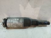 Front shock absorber/damper