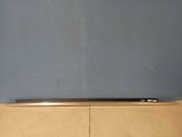 Rear door glass trim molding