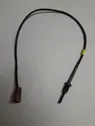 Exhaust gas temperature sensor