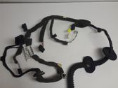 Rear door wiring loom