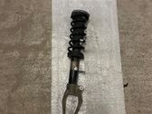 Front shock absorber with coil spring