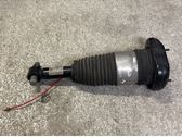 Rear air suspension bag/shock absorber