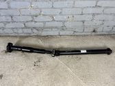 Drive shaft (set)