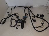 Front door wiring loom