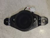Amplificateur de son