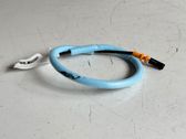 Front door cable line