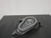 Rear door speaker