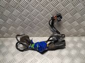 Front door wiring loom