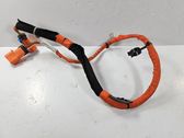 Other wiring loom