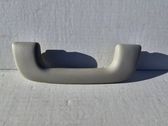 Front interior roof grab handle
