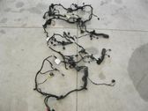 Rear door wiring loom