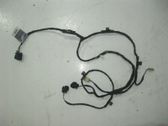 Rear door wiring loom