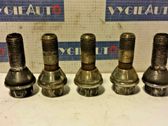 Nuts/bolts