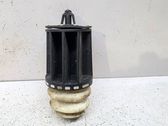 Rear coil spring rubber mount