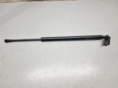 Tailgate/trunk strut/damper