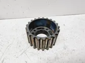 Fuel pump gear (pulley)