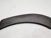 Fender trim (molding)