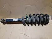 Front shock absorber with coil spring