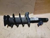 Front shock absorber with coil spring