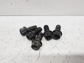 Nuts/bolts