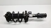 Front shock absorber with coil spring