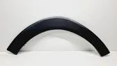 Fender trim (molding)