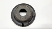 Rear coil spring rubber mount