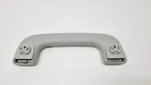 Front interior roof grab handle