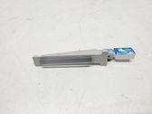 Front door handle light (exterior)
