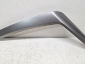 Other front door trim element