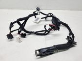 Rear door wiring loom