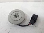 Microphone (bluetooth/phone)