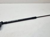 Tailgate/trunk strut/damper