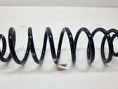 Rear coil spring