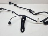 Cableado del sensor ABS trasero