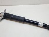 Rear shock absorber/damper
