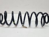 Rear coil spring