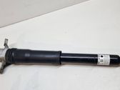 Rear shock absorber/damper