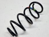 Rear coil spring