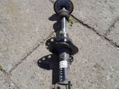 Front shock absorber/damper