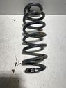 Front coil spring