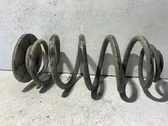 Rear coil spring