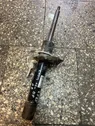 Front shock absorber/damper